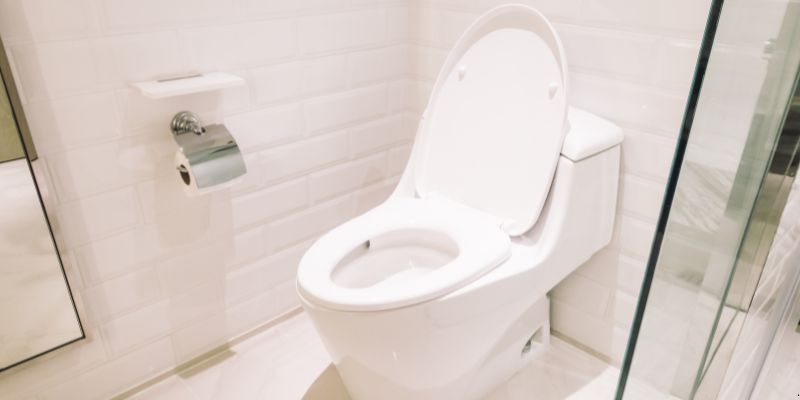 Como Desentupir Vaso Sanitário Que Caiu Objeto Dentro em Salvador: 4 Técnicas Como desentupir vaso sanitário que caiu objeto dentro em Salvador